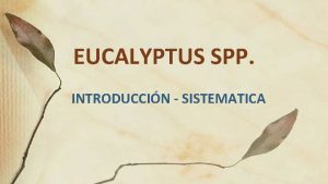 EUCALYPTUS SPP INTRODUCCIN SISTEMATICA ORIGEN Y DISTRIBUCIN GEOGRFICA