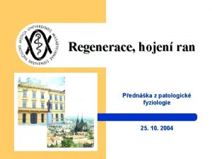 Regenerace hojen ran Pednka z patologick fyziologie 25