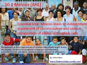 10 1 Meiosis AHL Essential idea Meiosis leads