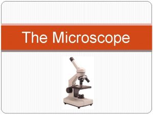 The Microscope Microscope History th 14 Century The