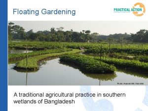 Floating Gardening Photo Haseeb Md Irfanullah A traditional