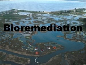 Bioremediation Chapter 9 Bioremediation Bioremediation The use of