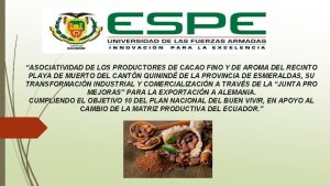 ASOCIATIVIDAD DE LOS PRODUCTORES DE CACAO FINO Y