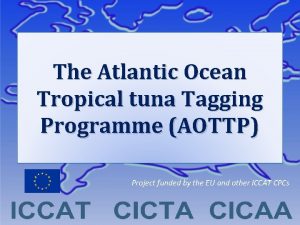 The Atlantic Ocean Tropical tuna Tagging Programme AOTTP