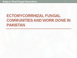 Subject Plant Fungal Interactions 1 ECTOMYCORRHIZAL FUNGAL COMMUNITIES
