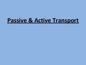 Passive Active Transport Animations of Active Transport Passive