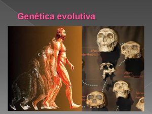 Gentica evolutiva Gentica Evolutiva a cincia que estuda