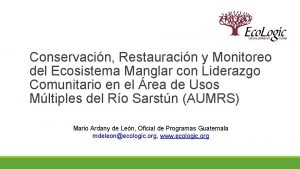 Conservacin Restauracin y Monitoreo del Ecosistema Manglar con