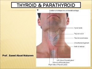 THYROID PARATHYROID Prof Saeed Abuel Makarem 1 OBJECTIVES