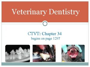 Veterinary Dentistry CTVT Chapter 34 begins on page