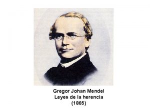 Gregor Johan Mendel Leyes de la herencia 1865