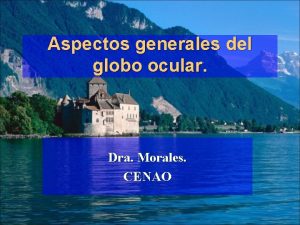 Aspectos generales del globo ocular Dra Morales CENAO