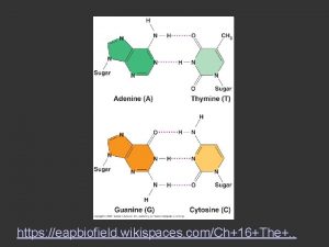 https eapbiofield wikispaces comCh16The https eapbiofield wikispaces comCh16The