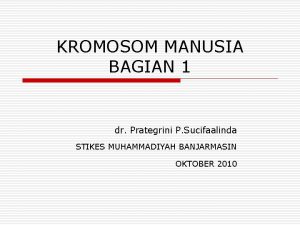 KROMOSOM MANUSIA BAGIAN 1 dr Prategrini P Sucifaalinda