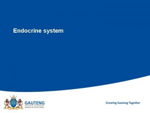 Comparison of endocrine and nervous system