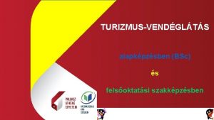 TURIZMUSVENDGLTS alapkpzsben BSc s felsoktatsi szakkpzsben Turizmusvendglts szakok