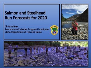 Salmon and Steelhead Run Forecasts for 2020 Chris
