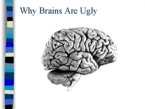 Why Brains Are Ugly Lets face it brains