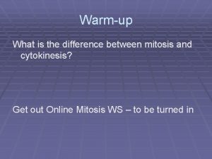 Warmup What is the difference between mitosis and