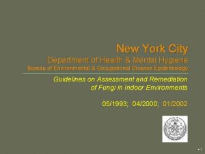 New York City Department of Health Mental Hygiene