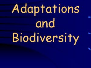 Adaptations and Biodiversity Adaptations A variation in an