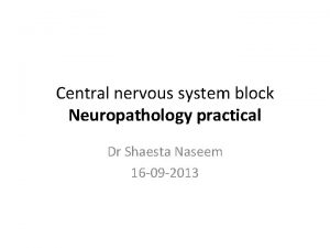 Central nervous system block Neuropathology practical Dr Shaesta