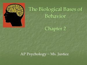The Biological Bases of Behavior Chapter 2 AP
