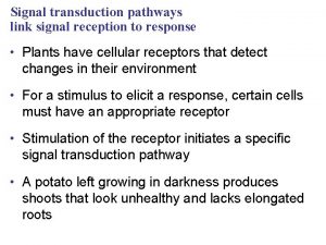 Signal transduction pathways link signal reception to response