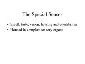 The Special Senses Smell taste vision hearing and