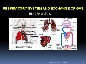 RESPIRATORY SYSTEM AND EXCHANGE OF GAS HENDRA WIJAYA