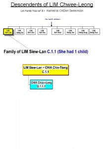 Descendents of LIM ChweeLeong Lim Family Tree ref