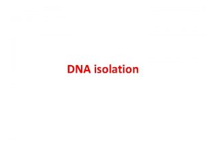 DNA isolation DNA isolation Nucleic acids store and