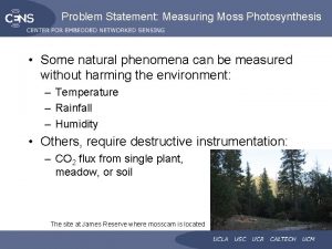 Problem Statement Measuring Moss Photosynthesis Some natural phenomena