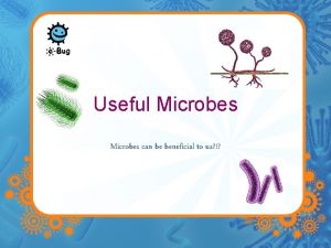 Useful Microbes can be beneficial to us Useful