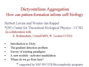 Dictyostelium Aggregation How can patternformation inform cell biology