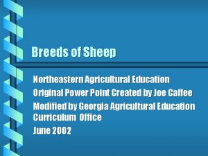 Breeds of Sheep Northeastern Agricultural Education Original Power