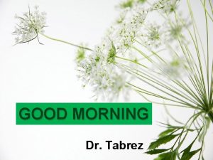 GOOD MORNING Dr Tabrez Development of Female Reproductive