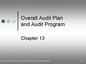 Overall Audit Plan and Audit Program Chapter 13