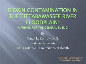 DIOXIN CONTAMINATION IN THE TITTABAWASSEE RIVER FLOODPLAIN A