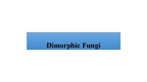 Dimorphic fungi examples