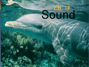 Ch 13 Sound Sound Waves Longitudinal Waves Compression