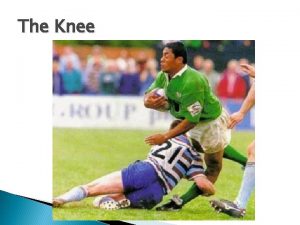 The Knee Injury to the Knee One of