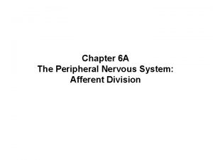 Chapter 6 A The Peripheral Nervous System Afferent