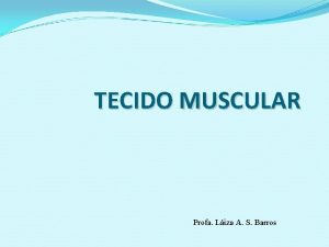 Tecido muscular