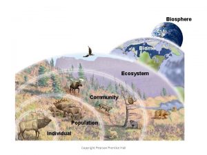 Levels of Organization Biosphere Biome Ecosystem Community Population