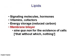 Lipids Signaling molecules hormones Vitamins cofactors Energy storage