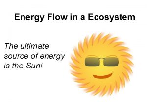 Ultimate source of energy in an ecosystem