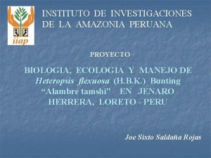 INSTITUTO DE INVESTIGACIONES DE LA AMAZONIA PERUANA PROYECTO