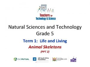 Grade 5 natural science term 1
