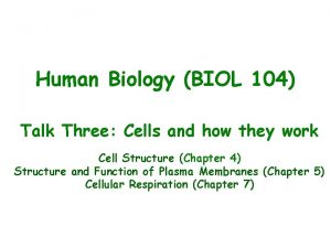 Human Biology BIOL 104 Talk Three Cells and